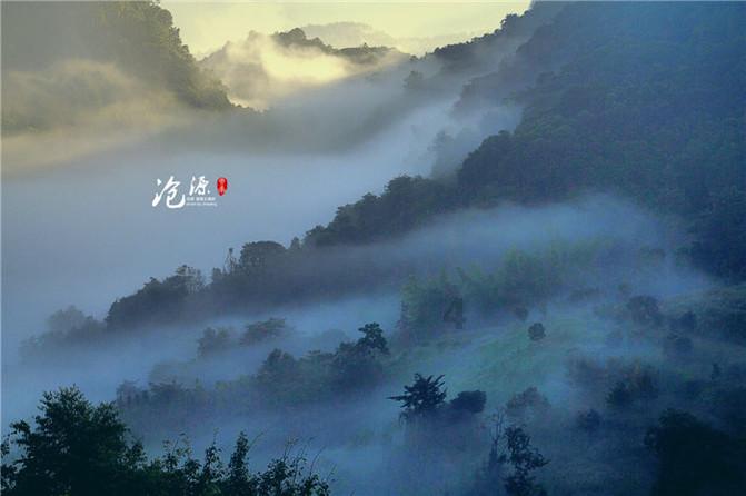 全省工贸行业安全生产标准化评审工作调研座谈现场会在泰山区召开