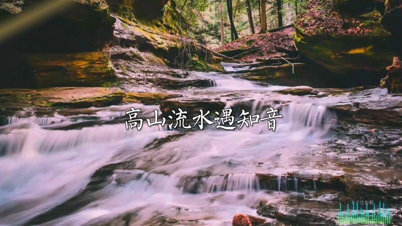 逗小猴开心系列178